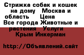 Стрижка собак и кошек на дому.  Москва и область.  › Цена ­ 1 200 - Все города Животные и растения » Услуги   . Крым,Инкерман